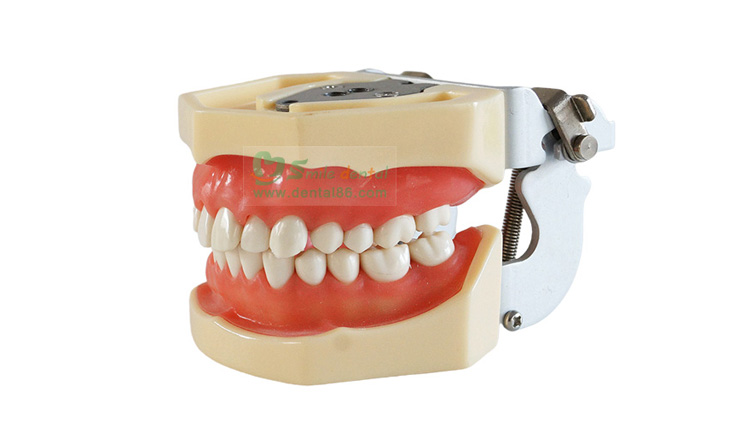 TM-A14 Standard Model